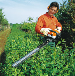 Hedge Trimming Brent Cross